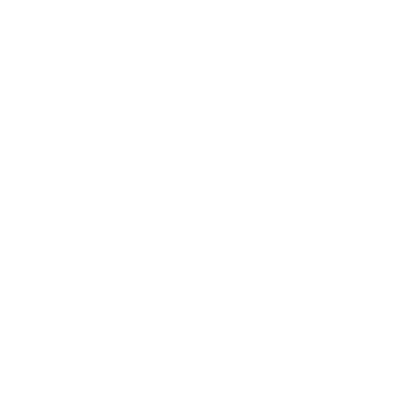 Raven Space Systems